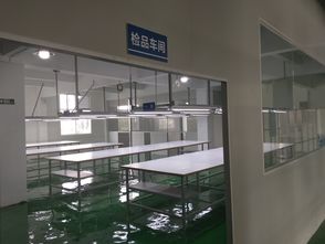 HQTS東莞檢品工廠盛大開業，構建倉、檢、配一體化供應鏈服務新標桿
